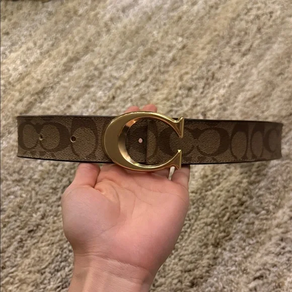 Brown and Gold Women's Belt - Picture 2 of 4